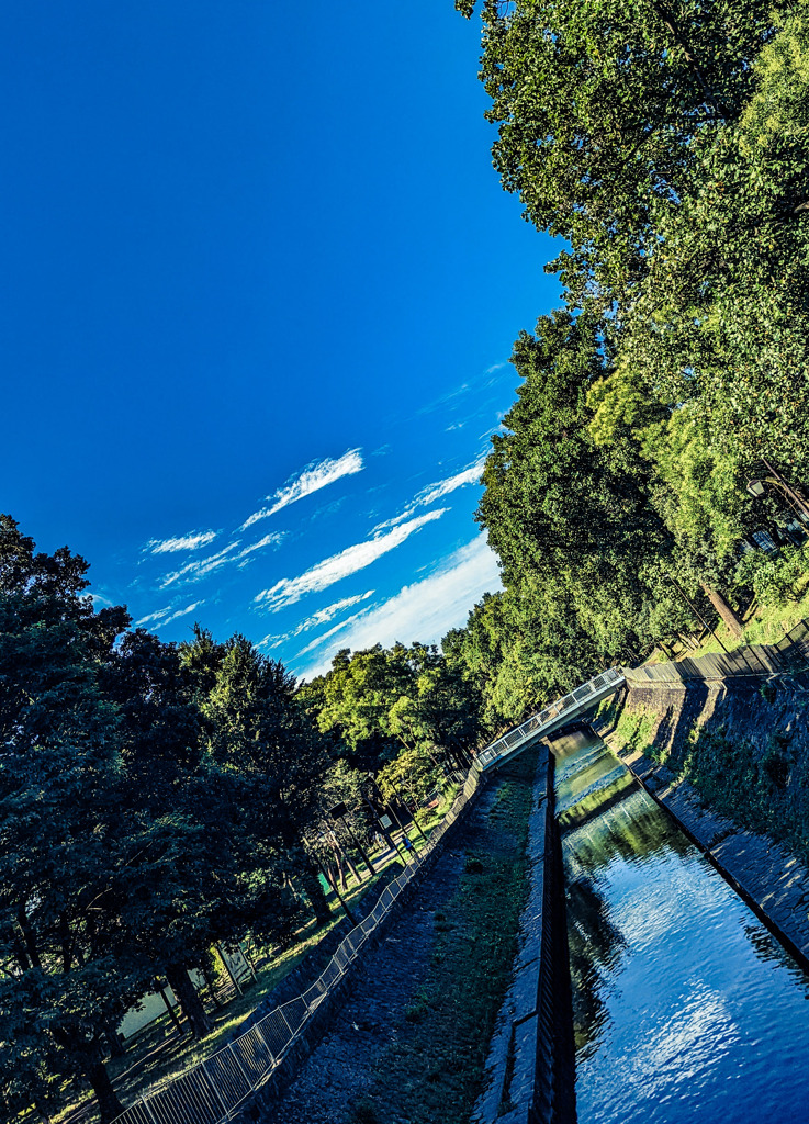 青々とした風景