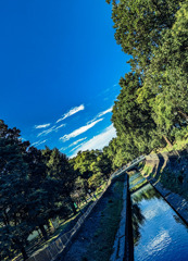 青々とした風景