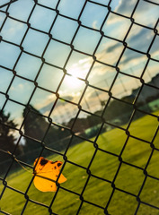 一緒に眺めた夕陽