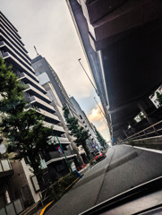 昇る朝陽