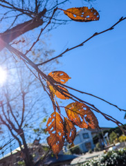 それぞれの役割