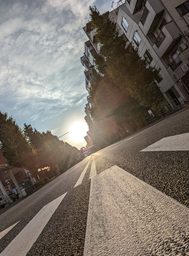 朝陽と横断歩道