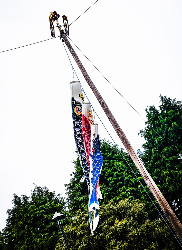 巣立つその時まで