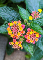 穏やかな気持ち