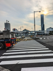 埋立地の朝