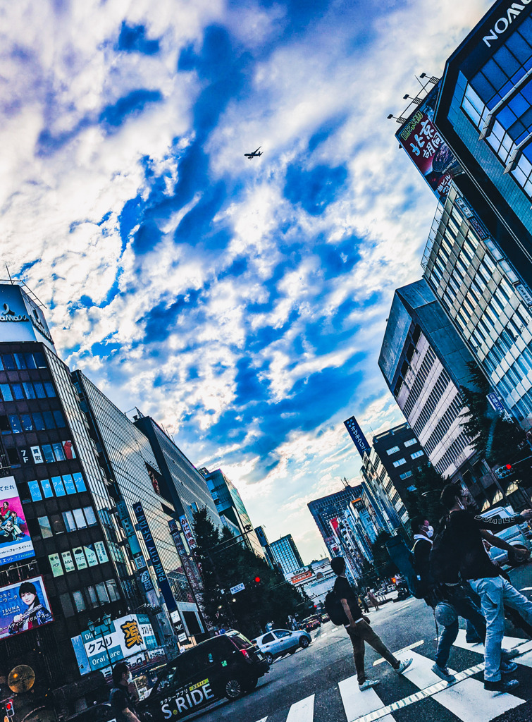 空を見上げる人