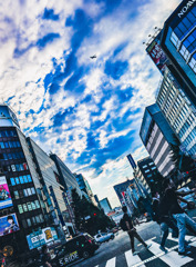 空を見上げる人