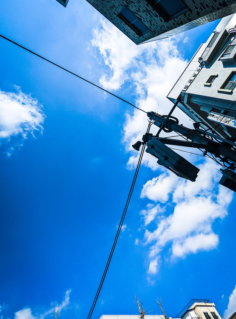 見上げてみたら