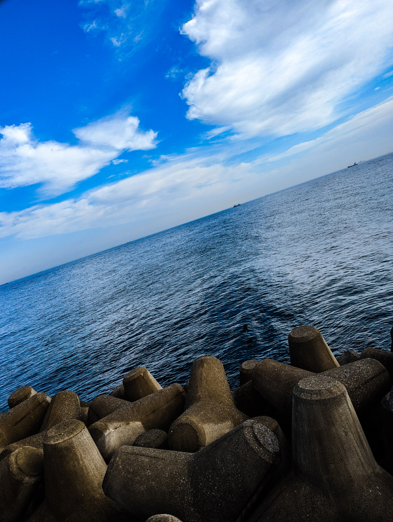 なぜか知ってる