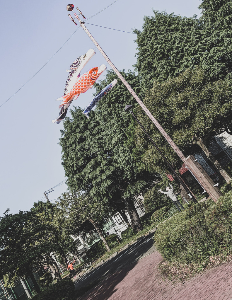 見かけた孫と祖母