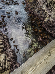 小さな橋の上から