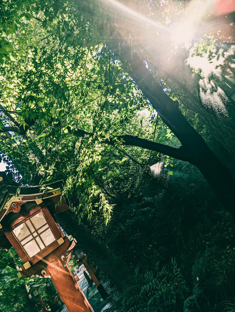 威厳と静けさと活力