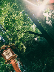 威厳と静けさと活力