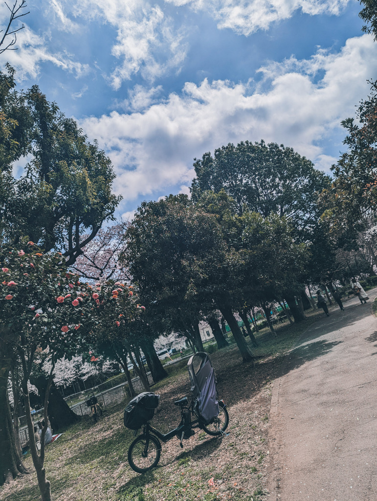 母の背を見ながら