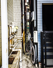 懐かしさを探して