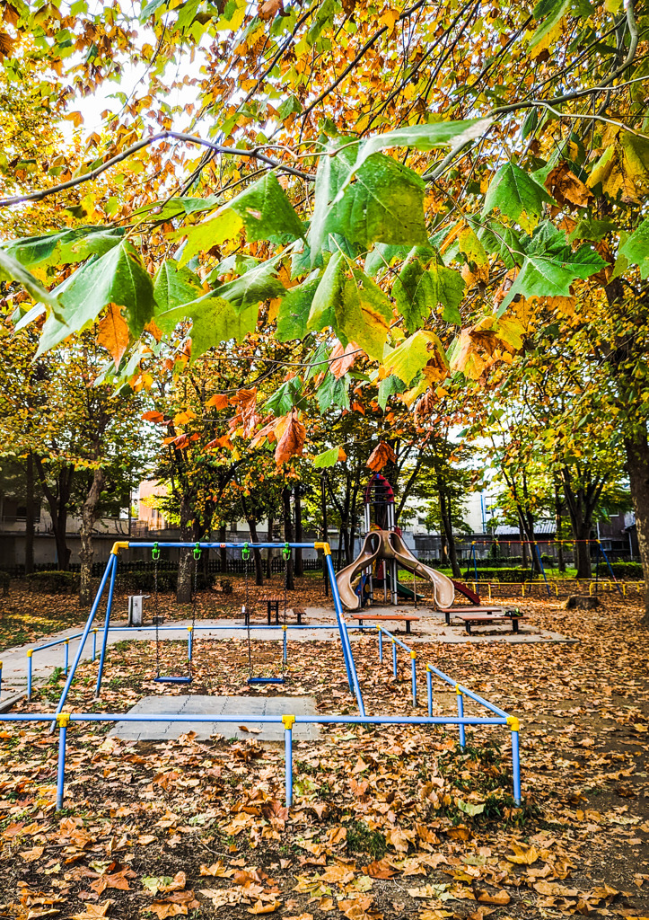 秋の公園