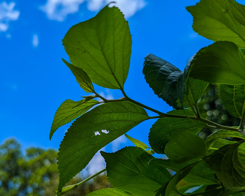 誰かがいたあと