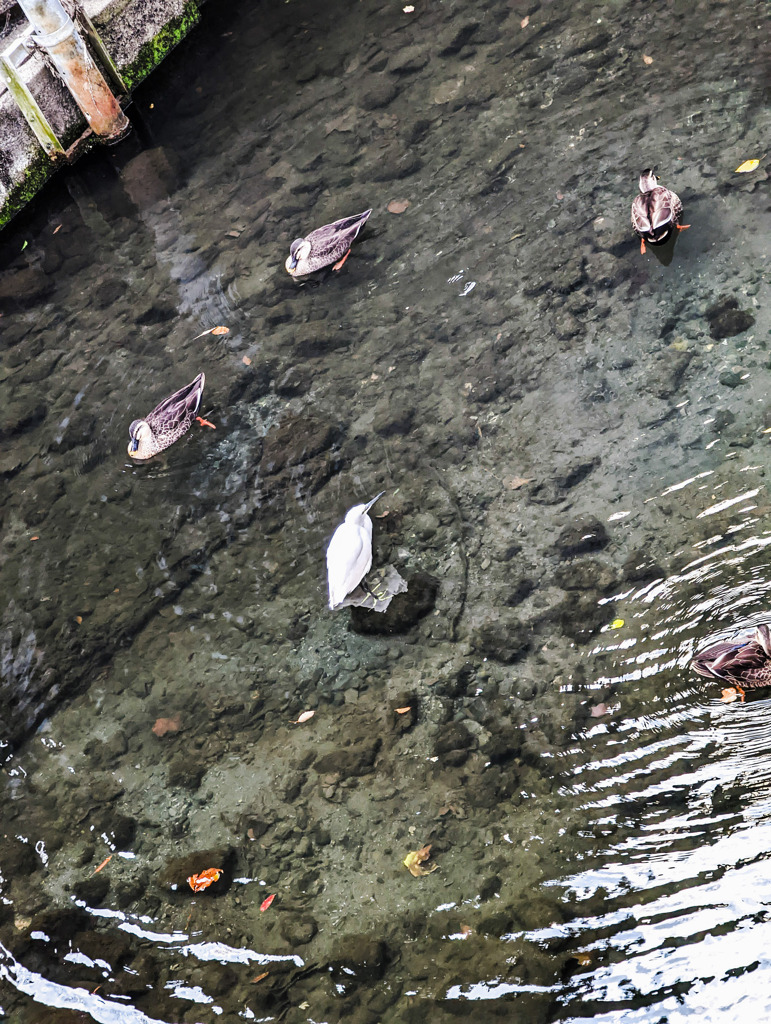 それぞれの特技