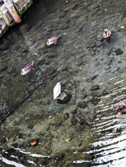 それぞれの特技