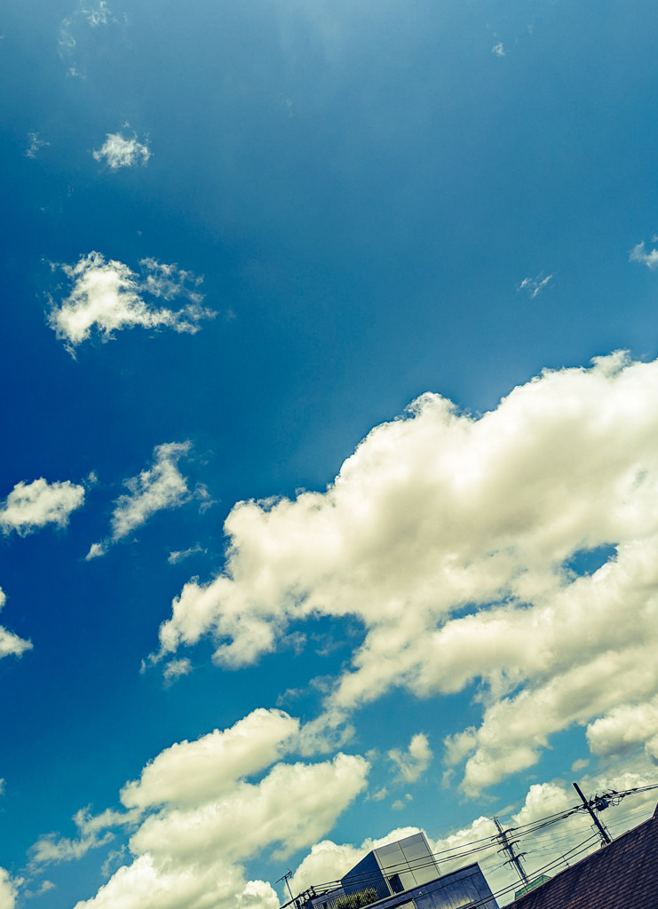 夏の空