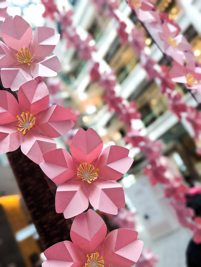 まだまだ桜は咲いてます。