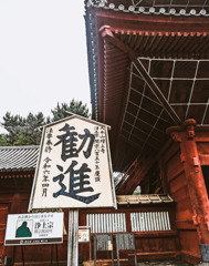 観を進める