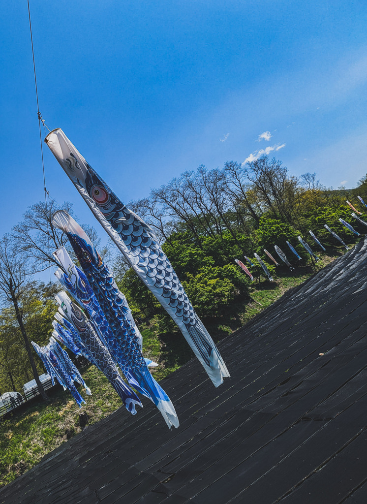 大王の鯉のぼり
