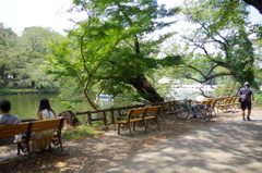 井の頭公園
