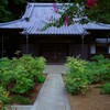 石畳を歩く
