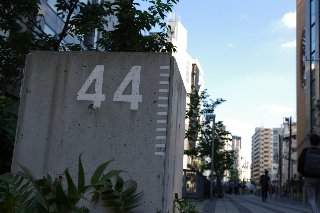 「４４」がある通り