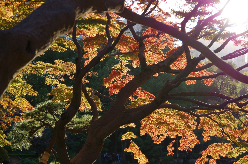 日比谷公園