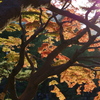 日比谷公園