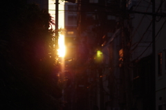 隙間から