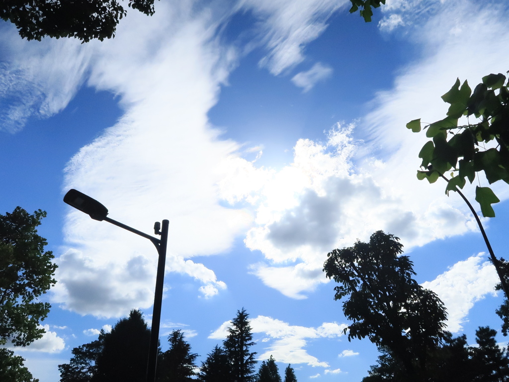 夏の空