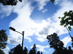 夏の空