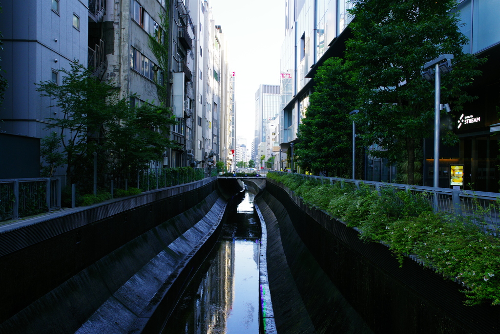 渋谷川