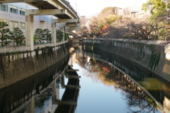 江戸川橋から神田川を望む