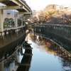 江戸川橋から神田川を望む