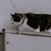 街を散歩
