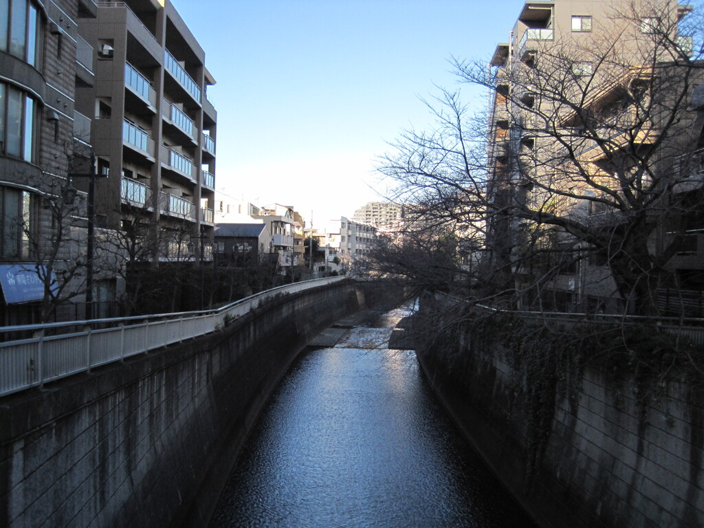 淀橋から神田川を望む