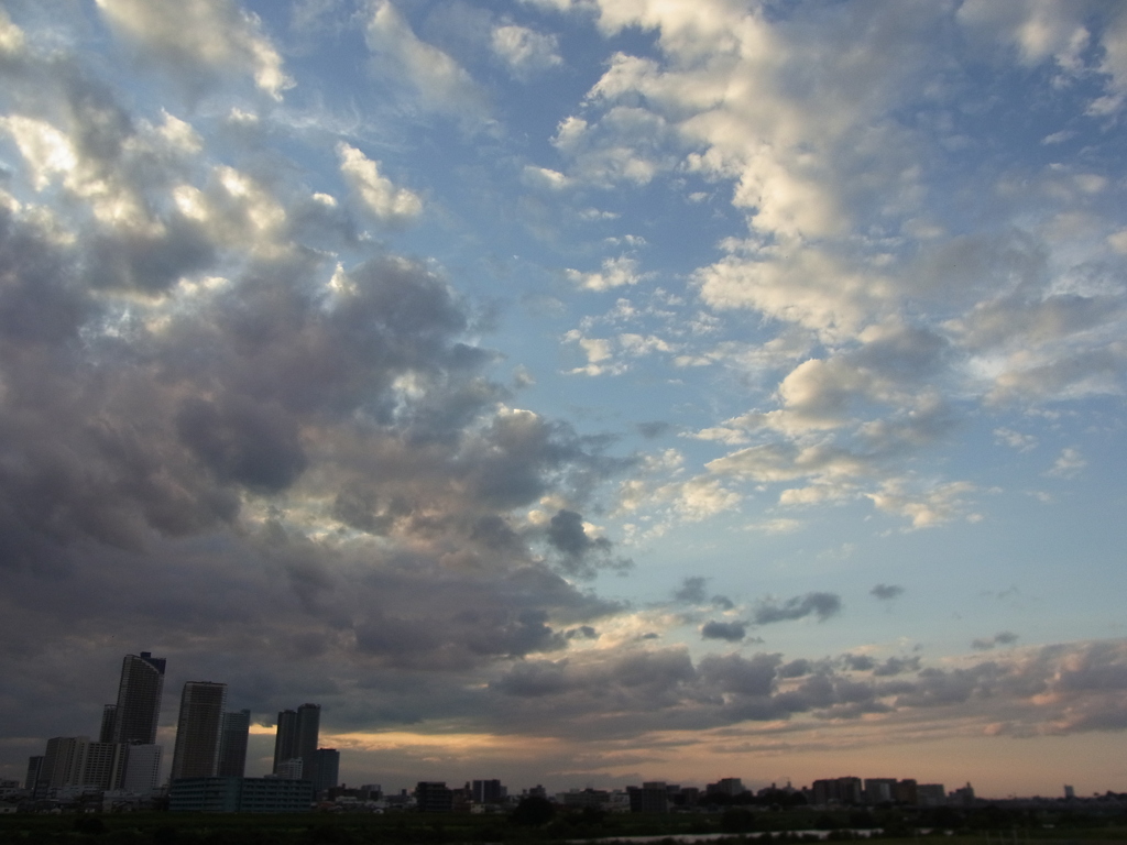 多摩川土手から遠景