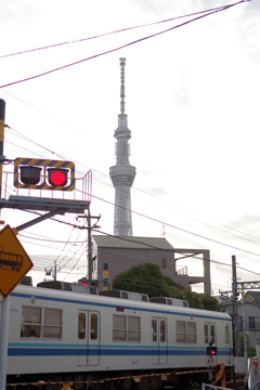 電車を眺める＃３