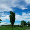 夏の空#2