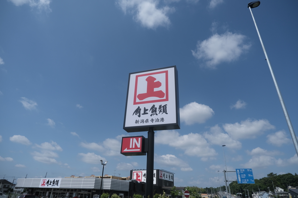 青空に角上魚類