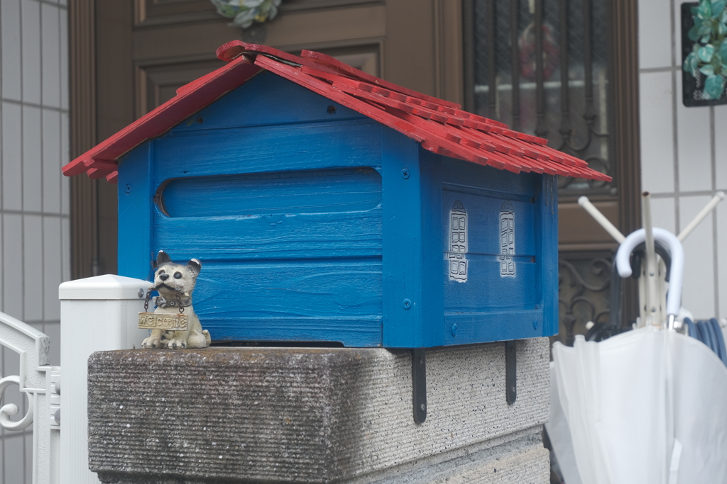 小さな家と小さなわんこ