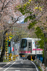 小牧線　桜の終幕