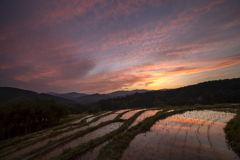 朱の田園