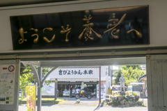 道草旅③ ようこそ養老へ