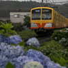雨降りの三岐鉄道①