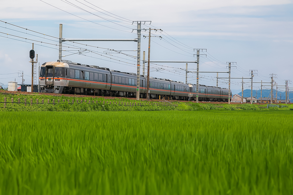 緑の波乗りキハ85